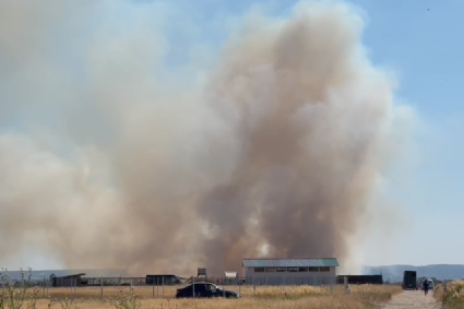 Incendiu puternic la Drăgoieni. Pompierii încearcă să evite extinderea la locuințe
